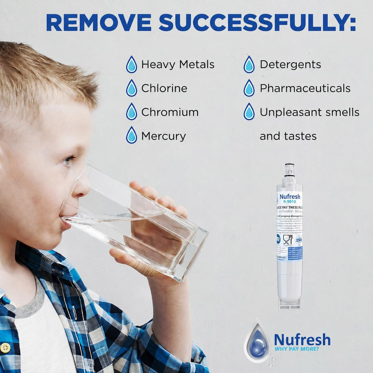 Refresh Water Filter (1 Count (Pack of 1))