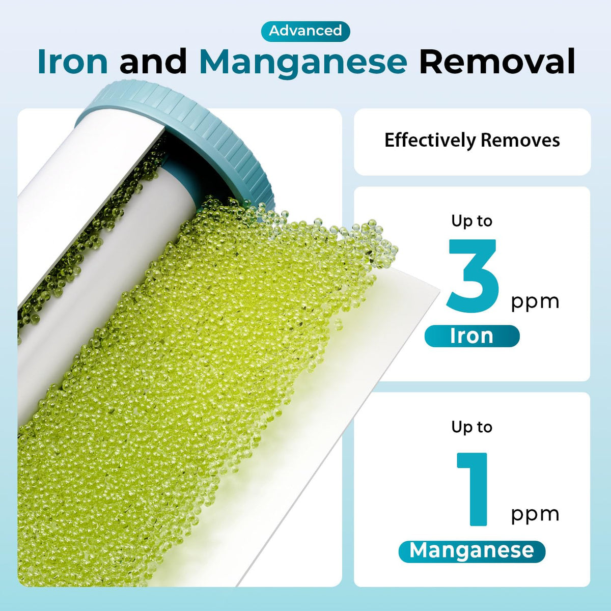 WGB31BM Iron Manganese Whole House Water Filter System