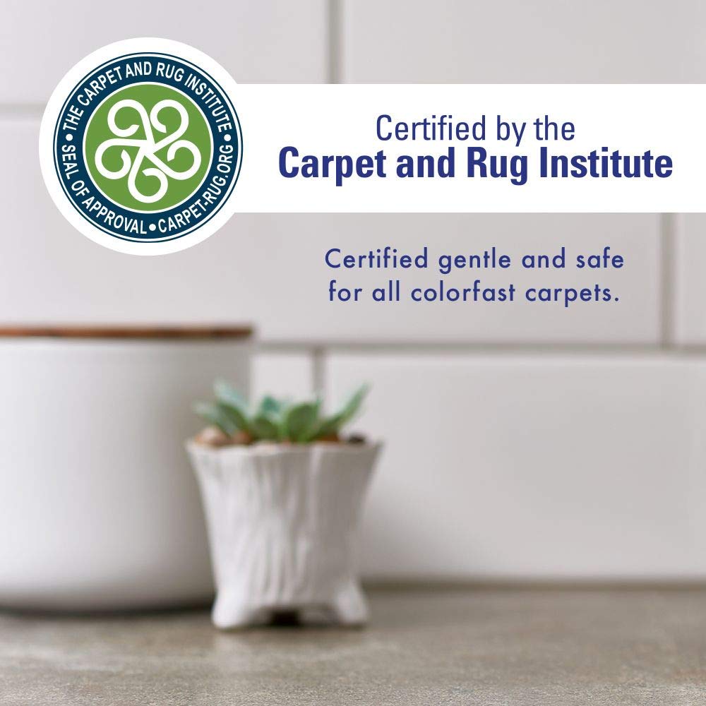 Rocco & Roxie Enzyme Stain & Odor Eliminator (128 Fl Oz (Pack of 1))