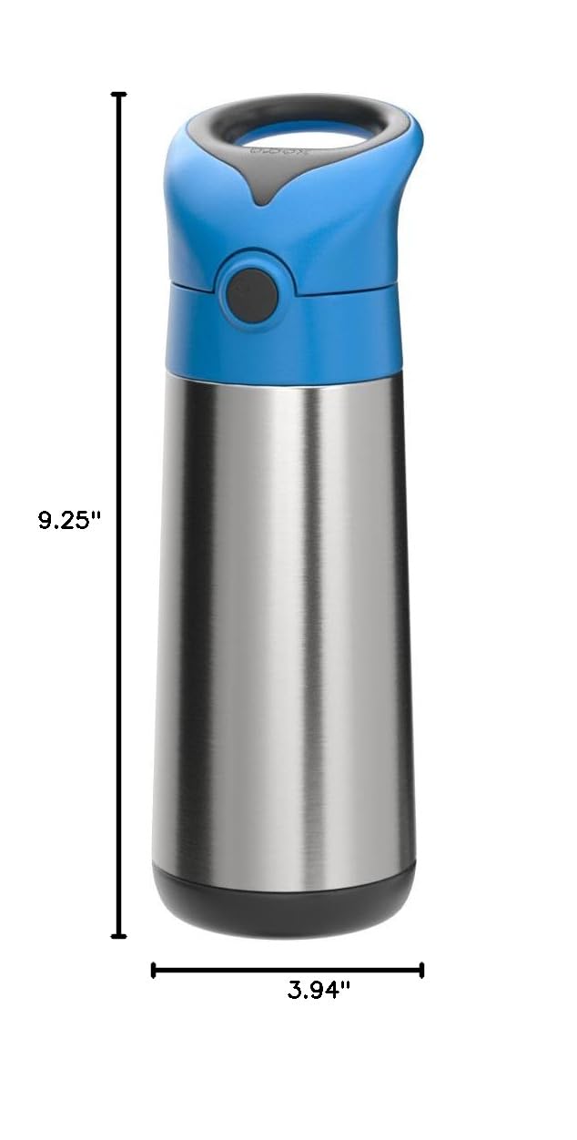 Insulated Water Bottle for Kids (Blue Slate / 17 Ounces)
