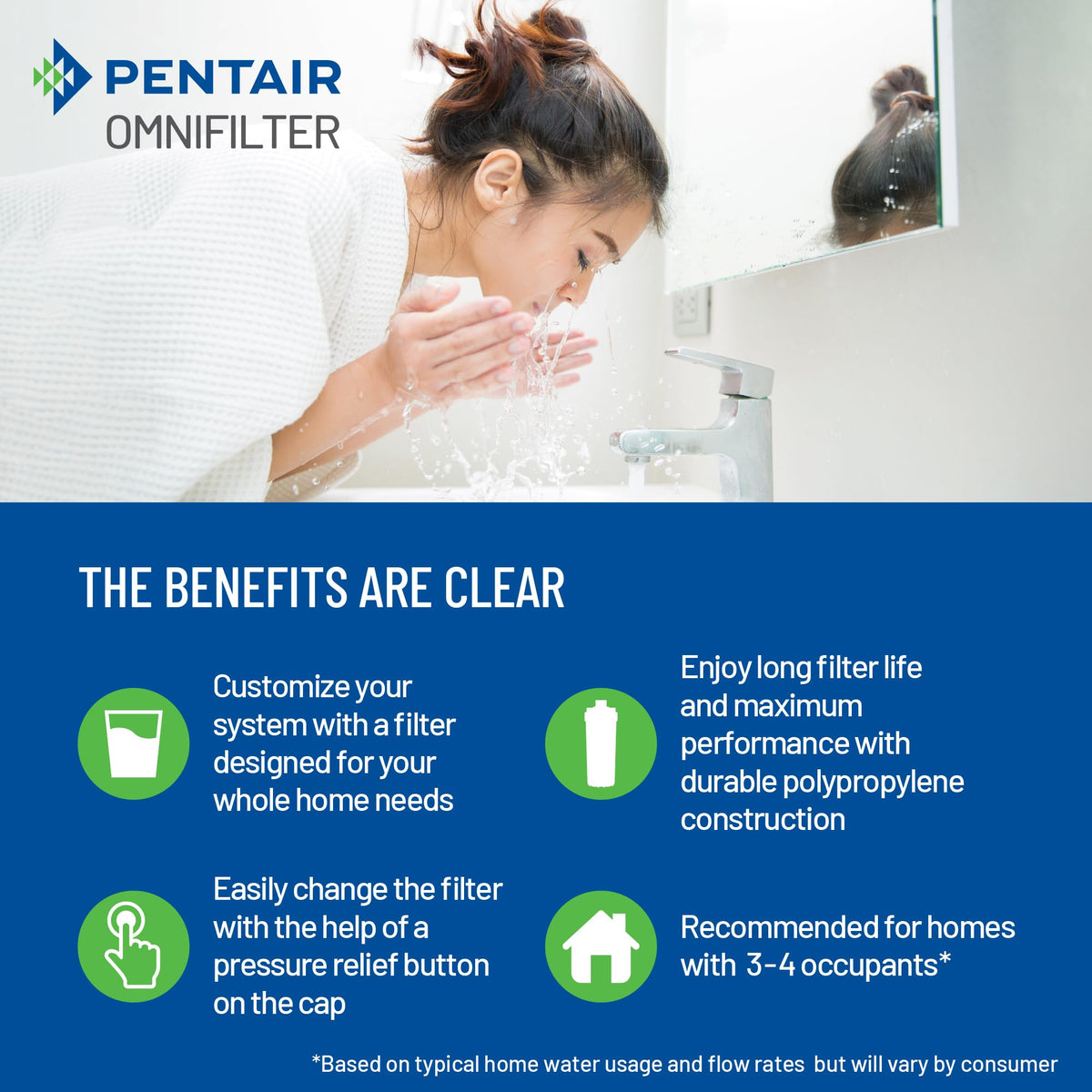 Pentair OMNIFilter Whole Home 10
