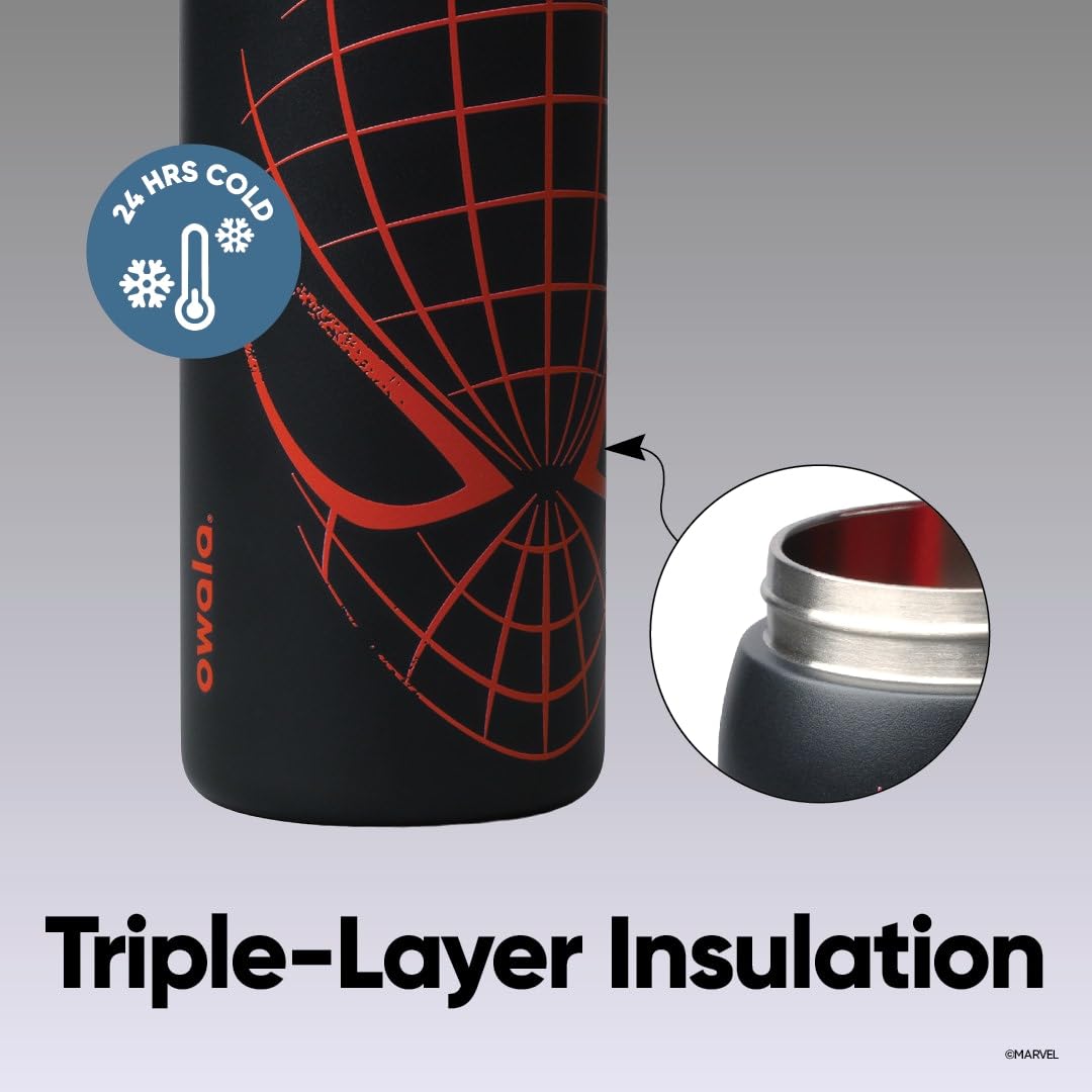 Marvel Spider (Night Watch / 32 Ounces)