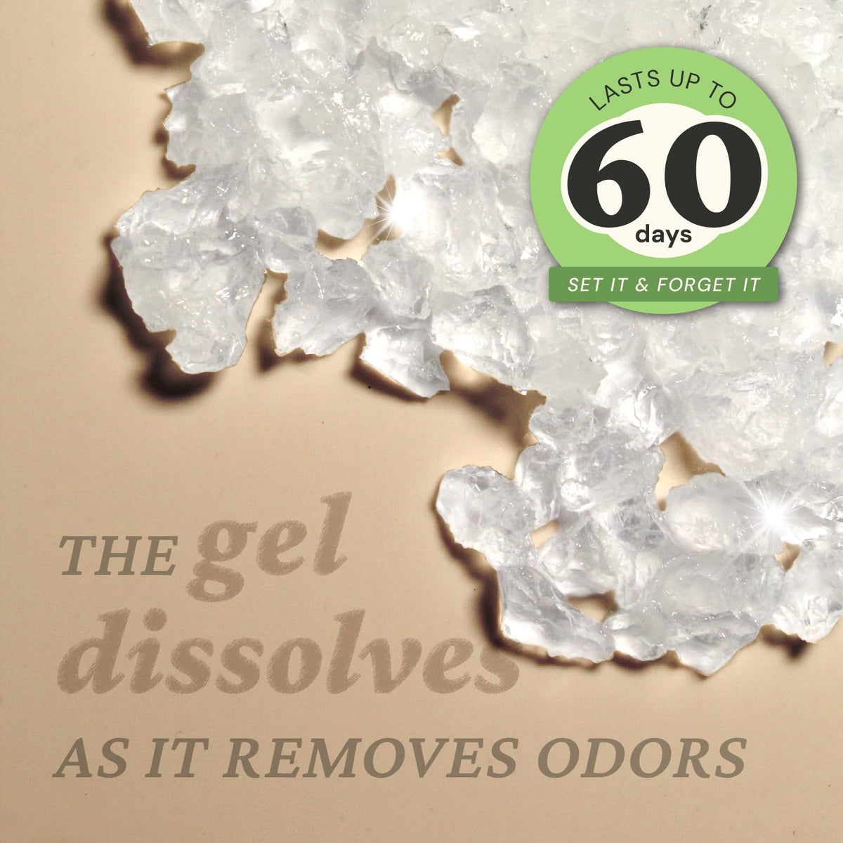 Original Odor Eliminator Gel 2Pk 15 oz (15 Fl Oz (Pack of 2))