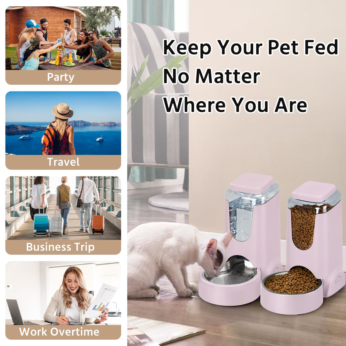 2 Pack Automatic Cat Feeder and Stainless Steel Water Dispenser (1 Gallon x 2 - Violet)