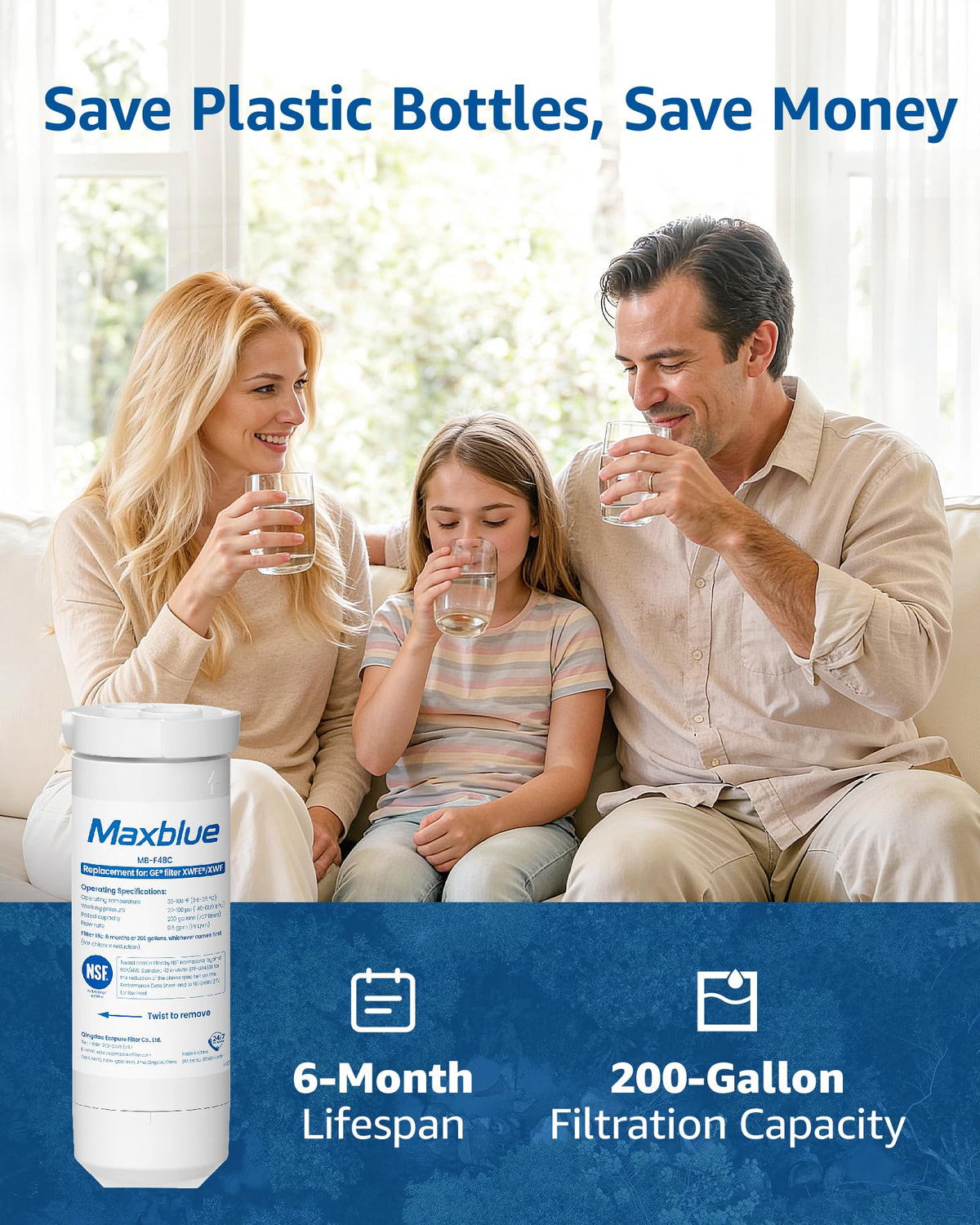 XWFE® Water Filter (With chip, 1 Count (Pack of 1))