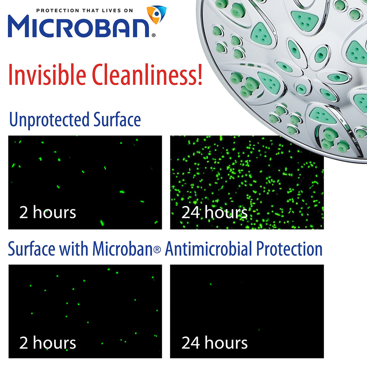Antimicrobial (2.5 Gallons Per Minute / Chrome / Coral Green Jets)