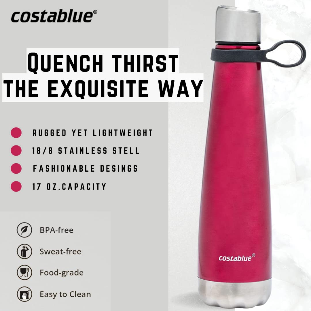 Insulated Water Bottle (Wine)
