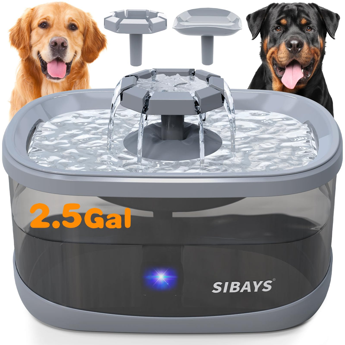 2.5Gal 9.5L Dog Water Fountain for Large Dogs (BLACK-GREY)