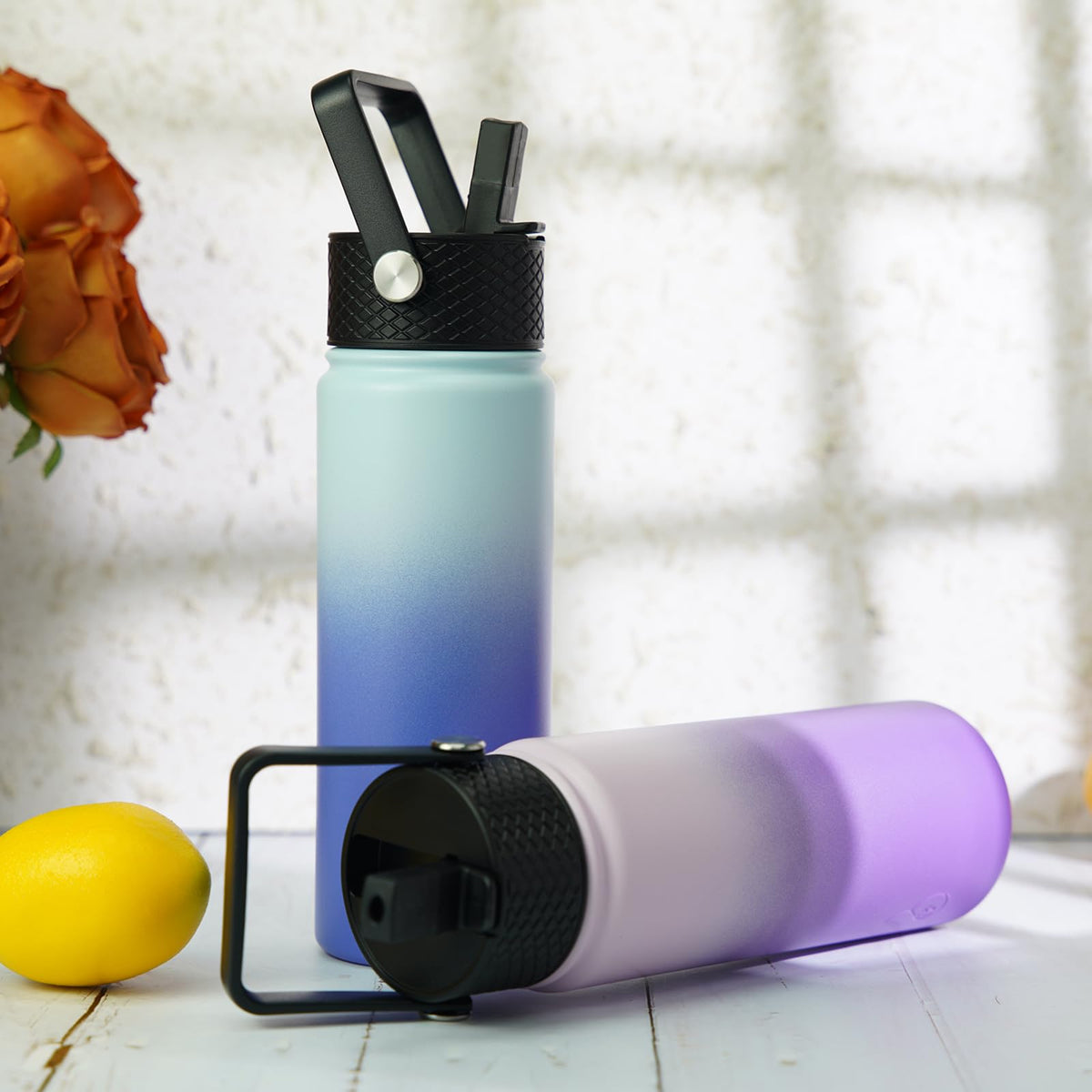 22oz Insulated Water Bottle with Straw Lid (22 Ounces / Sky)