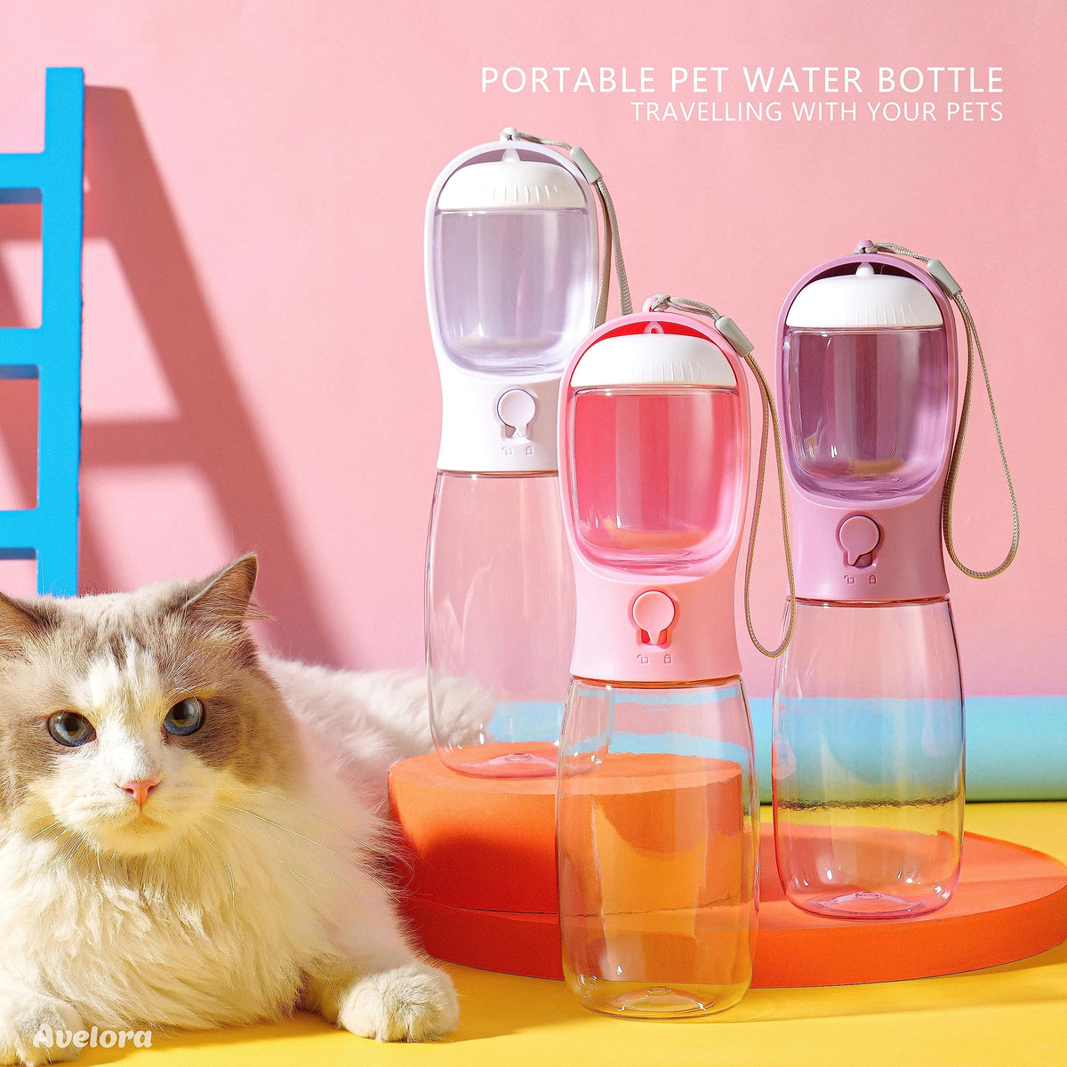 19oz Dog Water Bottle with Food Container (Purple / 19oz)