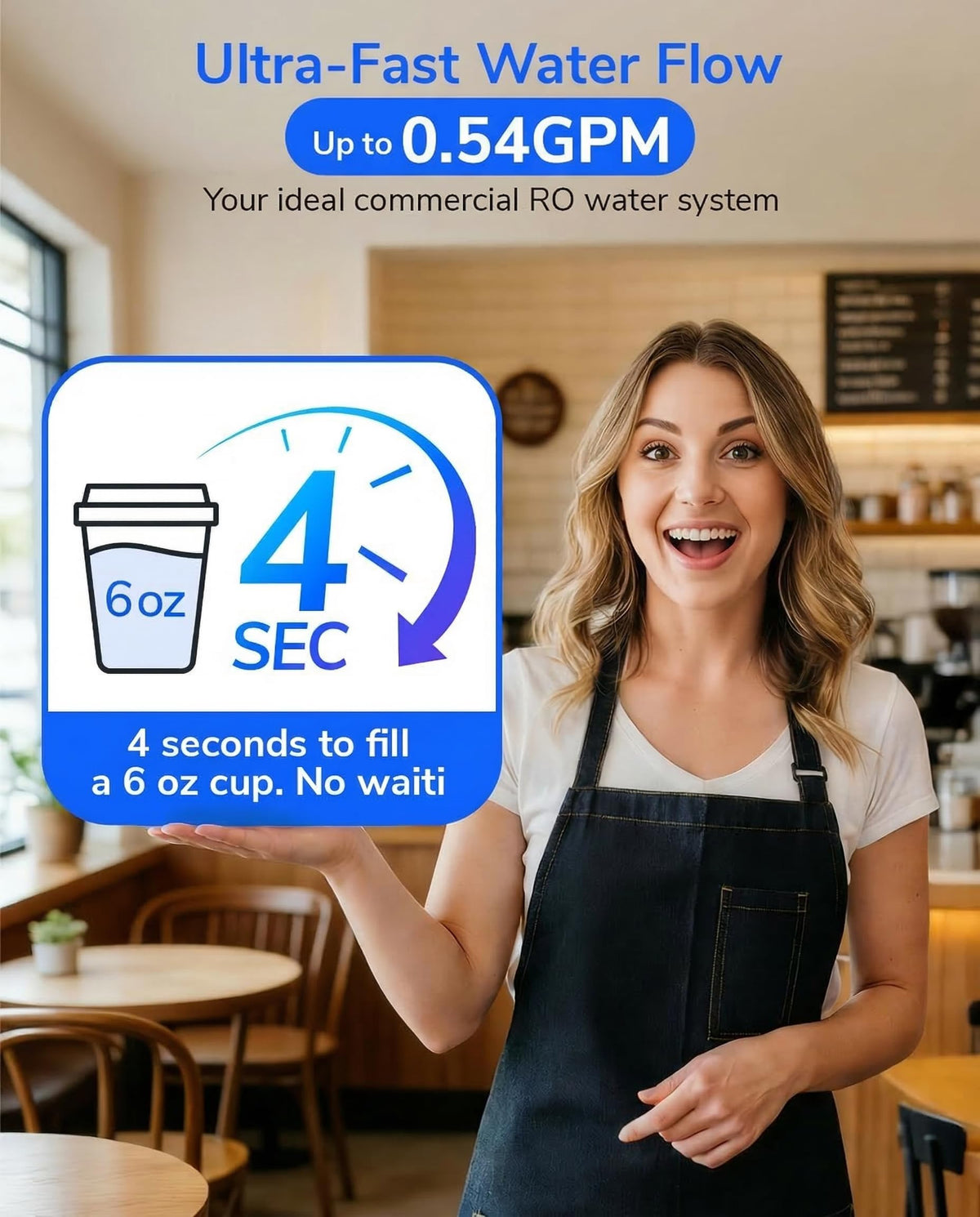 Ecoviva RO800G Tankless 9 (RO 800GPD)