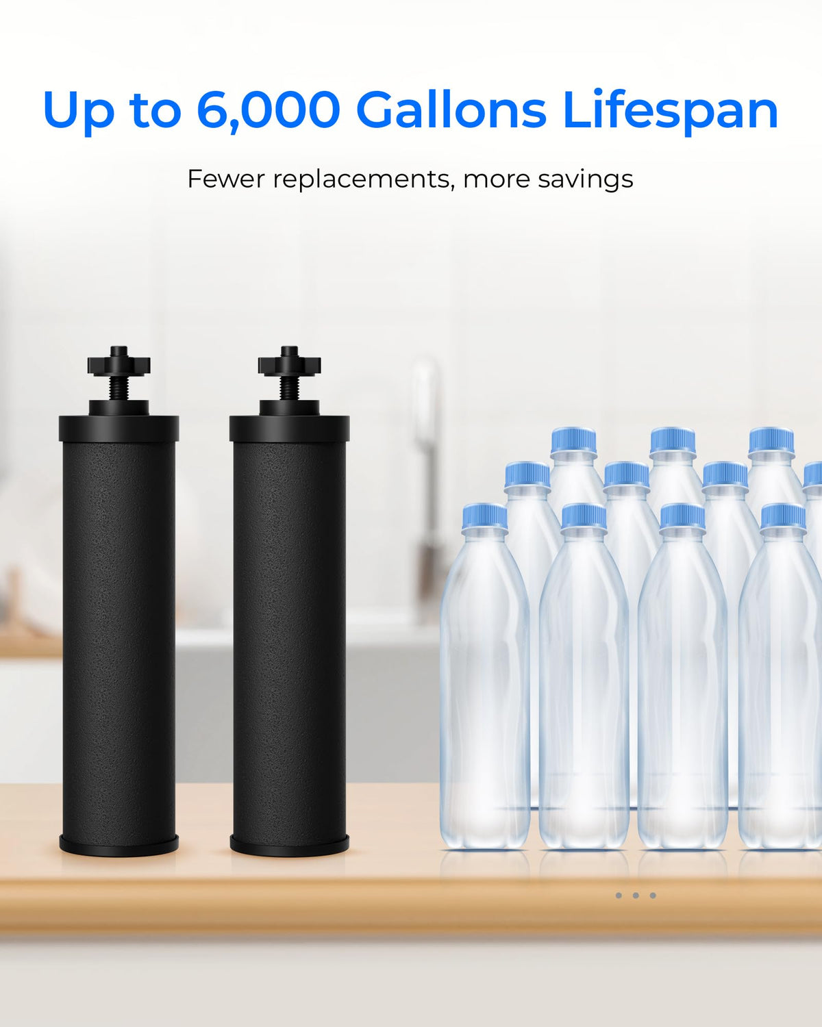 Silver Ions Black Water Filter