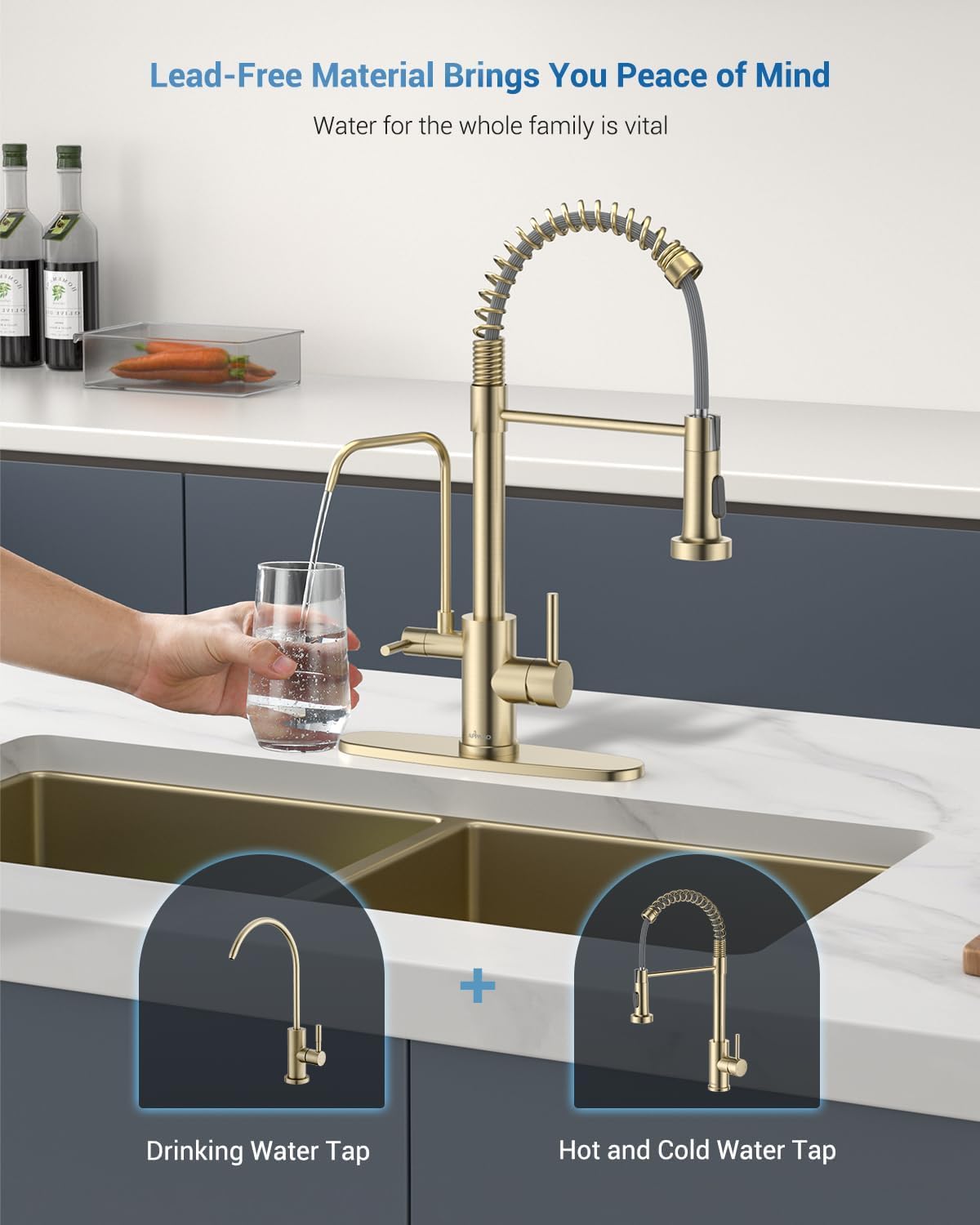 3 Way Gold Kitchen Faucet with Water Filter (260-Gold)