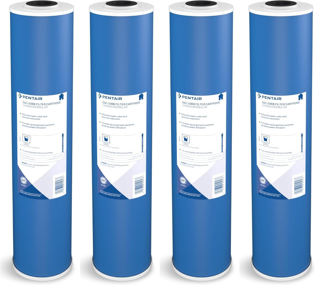 Pentair Pentek GAC (20" x 4.5" / Pack of 4)