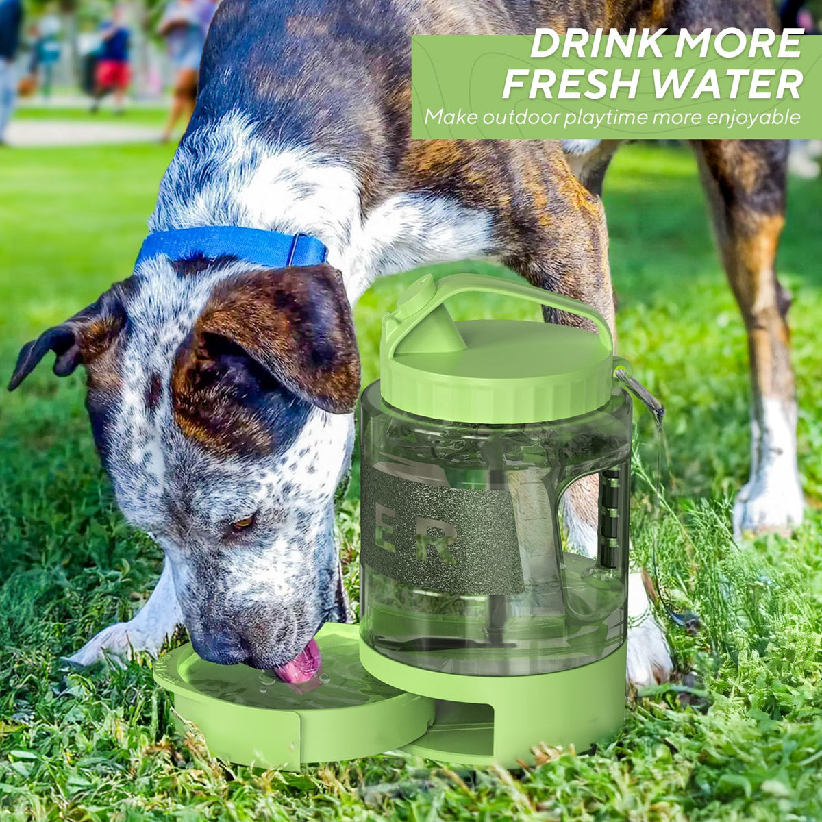Portable Dog Travel Water Bottle (77OZ / Olive Green)