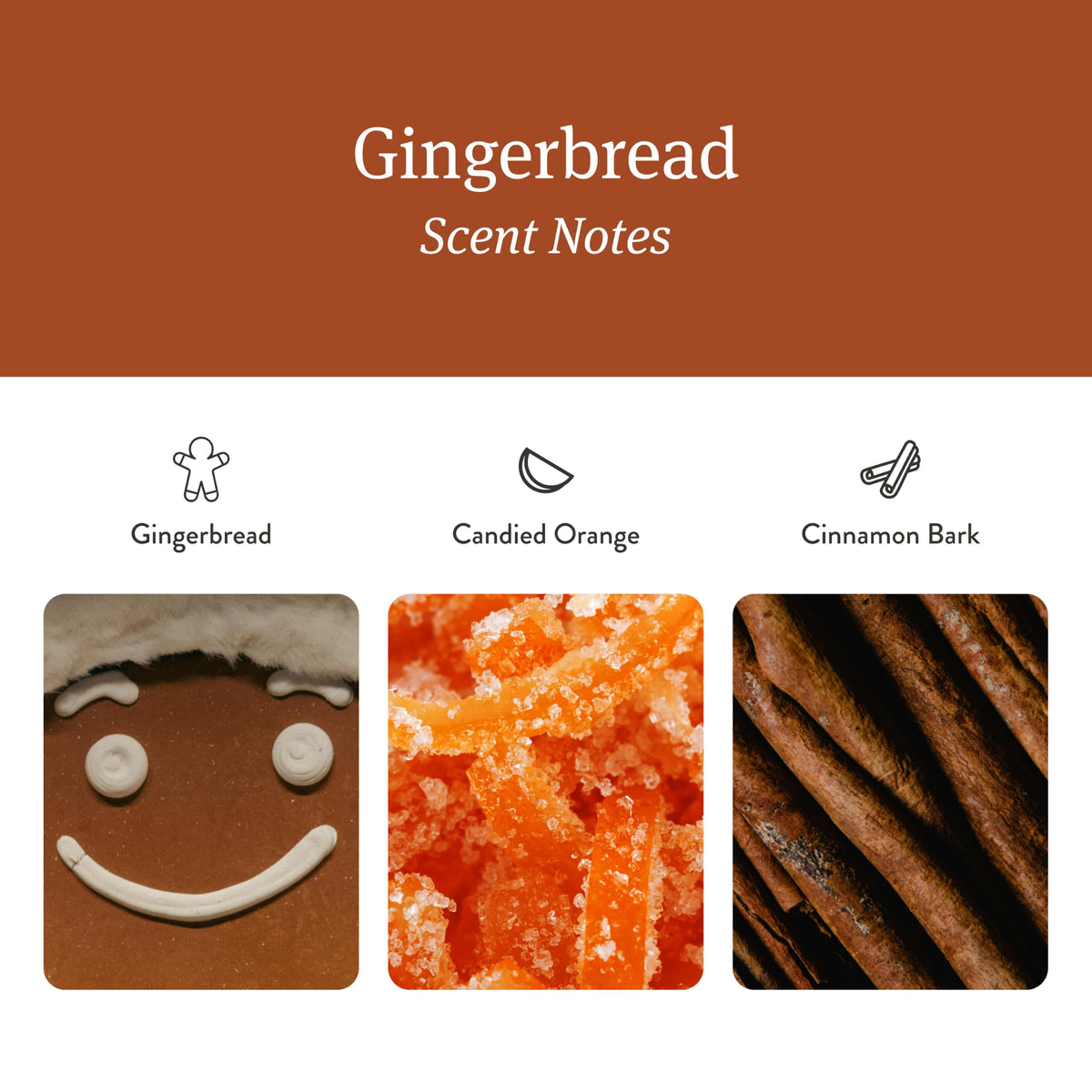on Amazon Wood Air Freshener Starter Kit