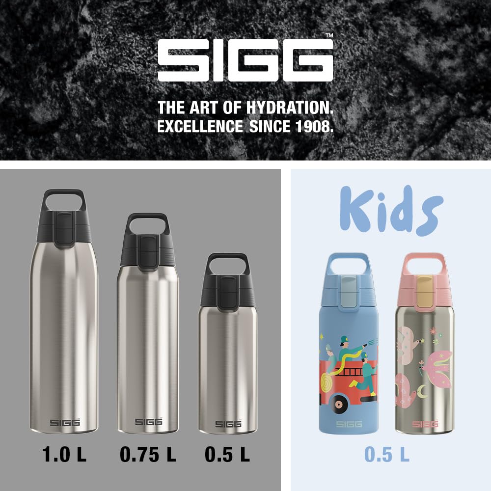 Stainless Steel Insulated Water Bottle (1.0 L / Brushed)