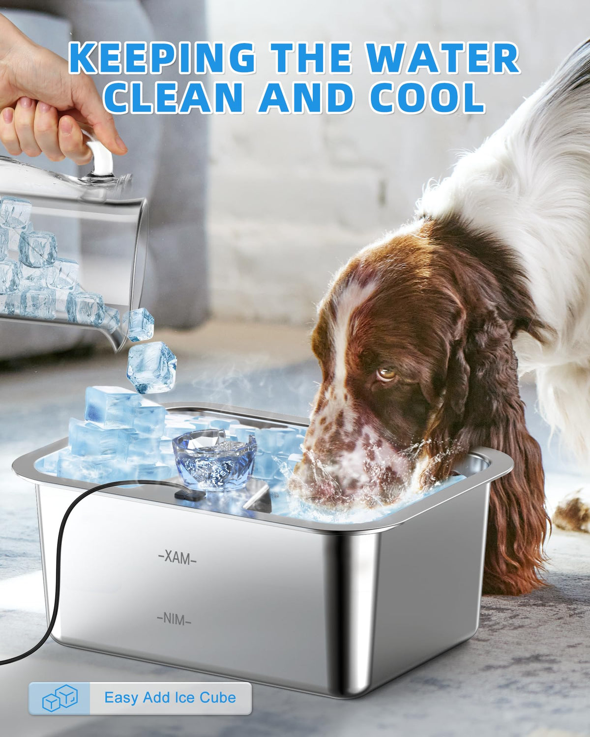 Dog Water Fountain