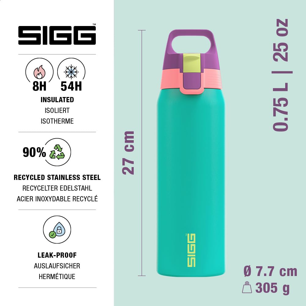 Insulated Water Bottle (Multicolor 0.75 L / Reef)