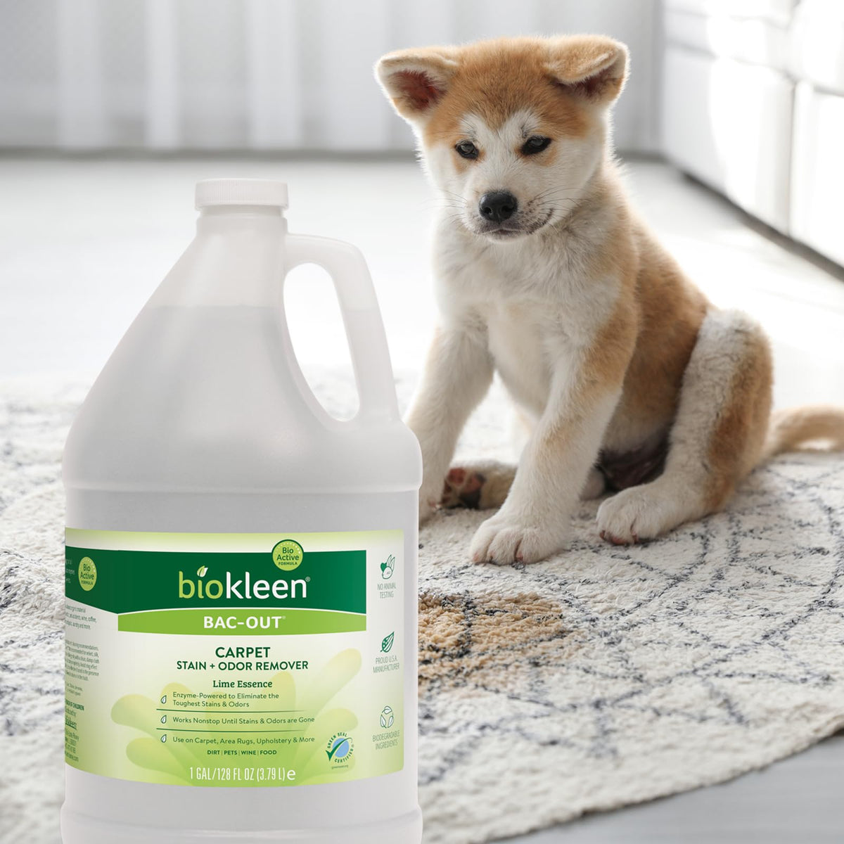 Bac Out Carpet Stain Remover Enzymatic ((256 Fl Oz))