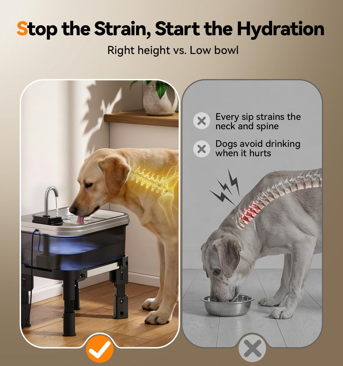 9L 2.38Gal Dog Water Fountain Elevated with 4 (Water Fountain + 3 Filters + 3 Sponges)