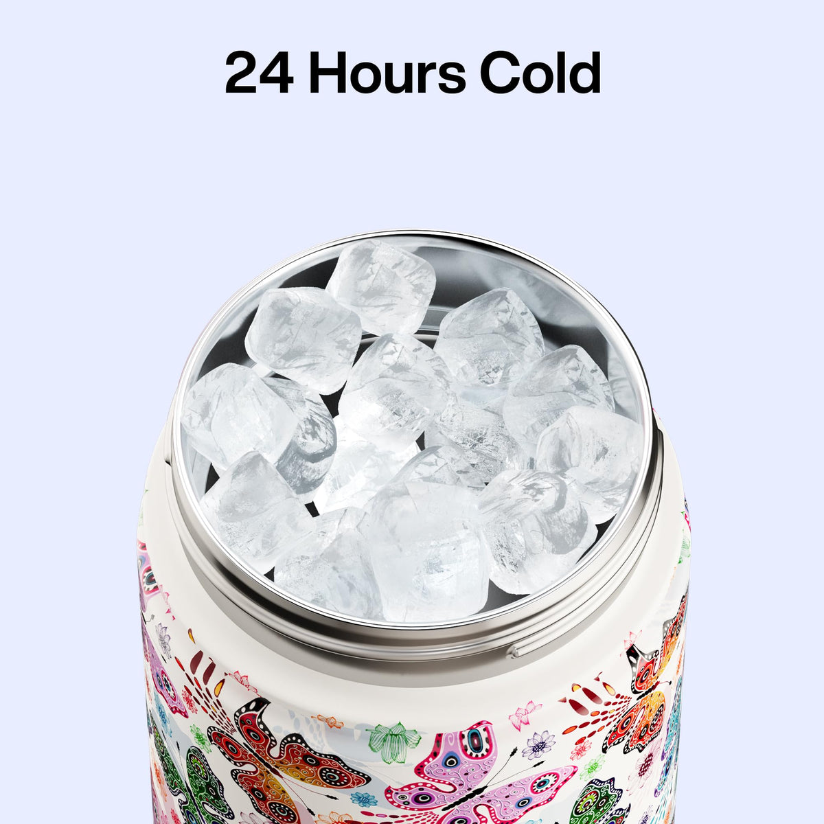 Insulated Water Bottle with Straw Stainless Steel Water Bottle (26 Ounces / Aesthetic Butterfly)