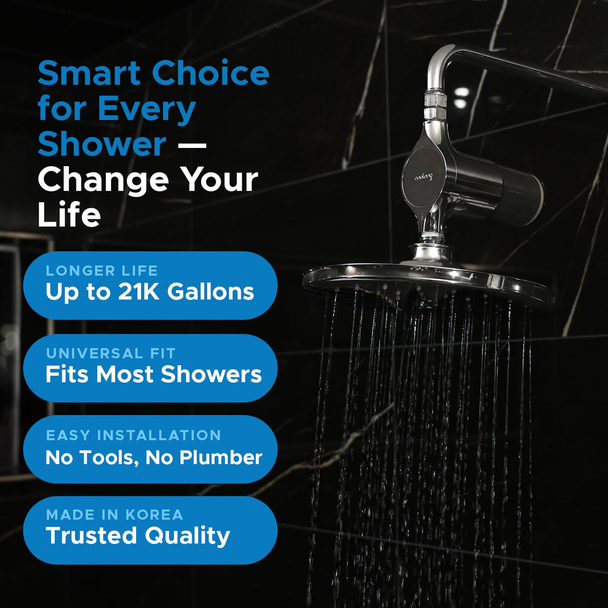ACF Shower Filter