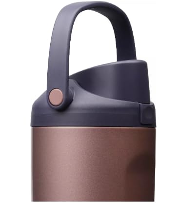 FreeSip Sway Stainless Steel Water Bottle 30 oz Desert Smoke (Desert Smoke)