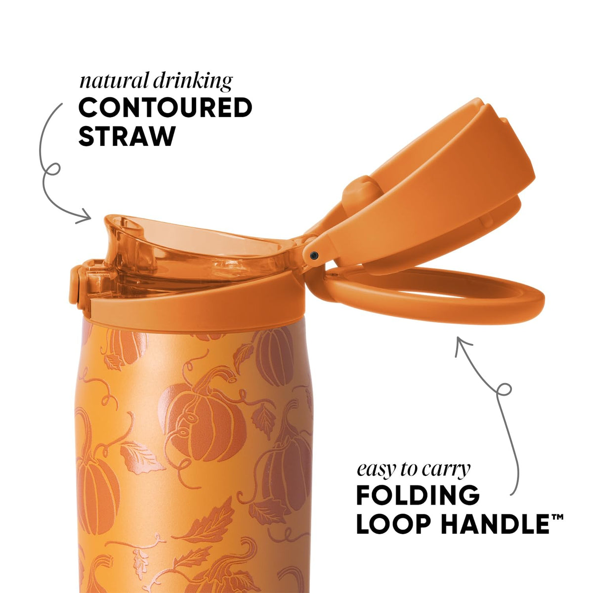 Halloween Water Bottle with Straw & Handle (30 Ounces / Spooky: Pumpkin Picking)