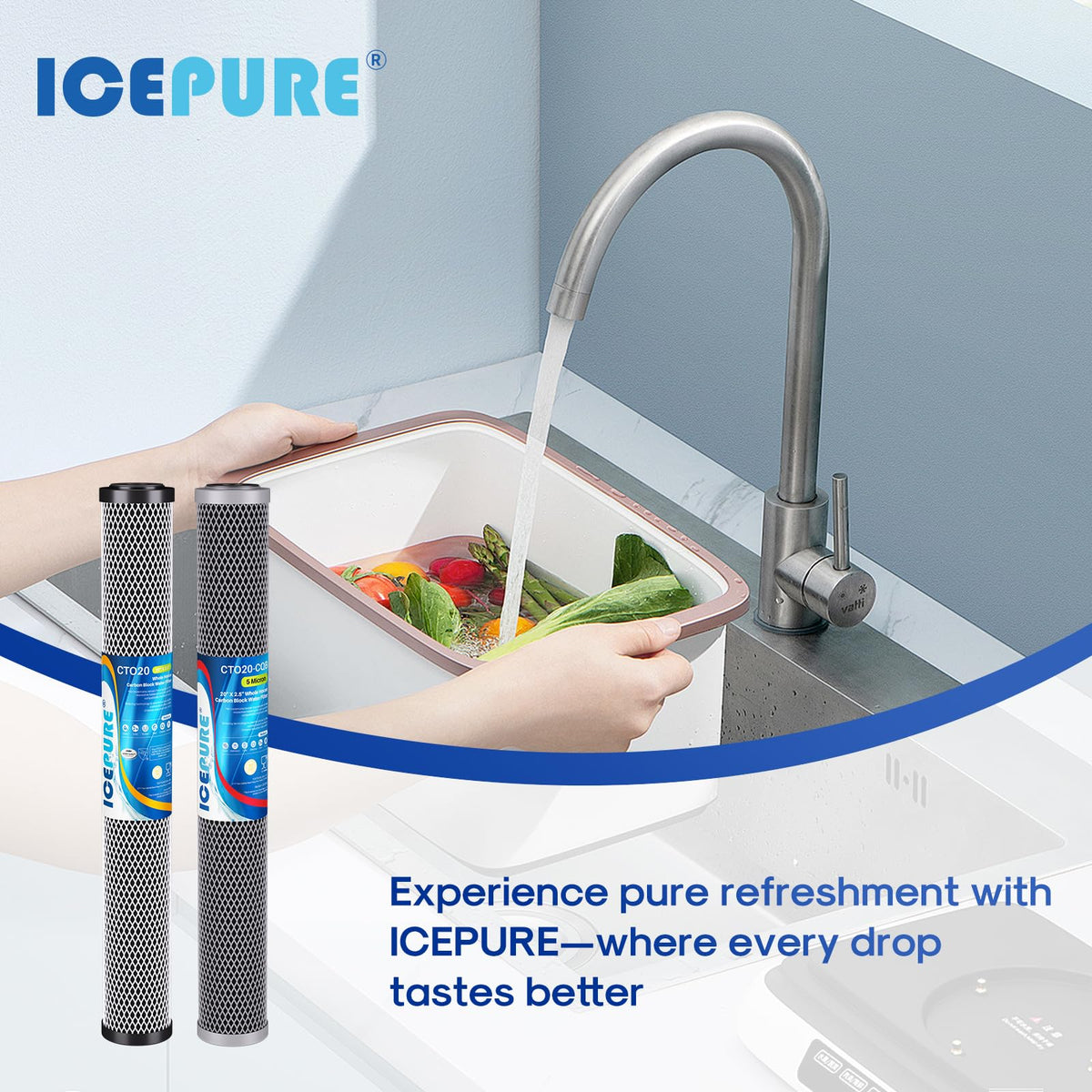 2.5"x 20" Whole House Carbon Sediment Water Filter High Capacity Combo Kit (2 Count (Pack of 1) / Lead Removal +CTO Activated Carbon Filter)