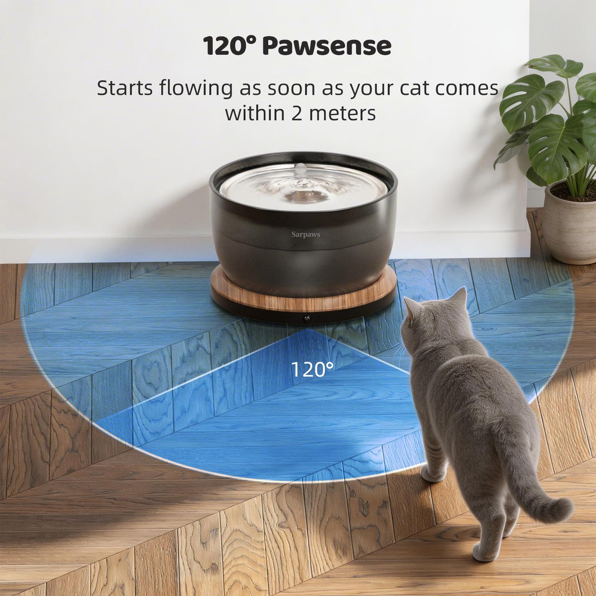 Cat Water Fountain