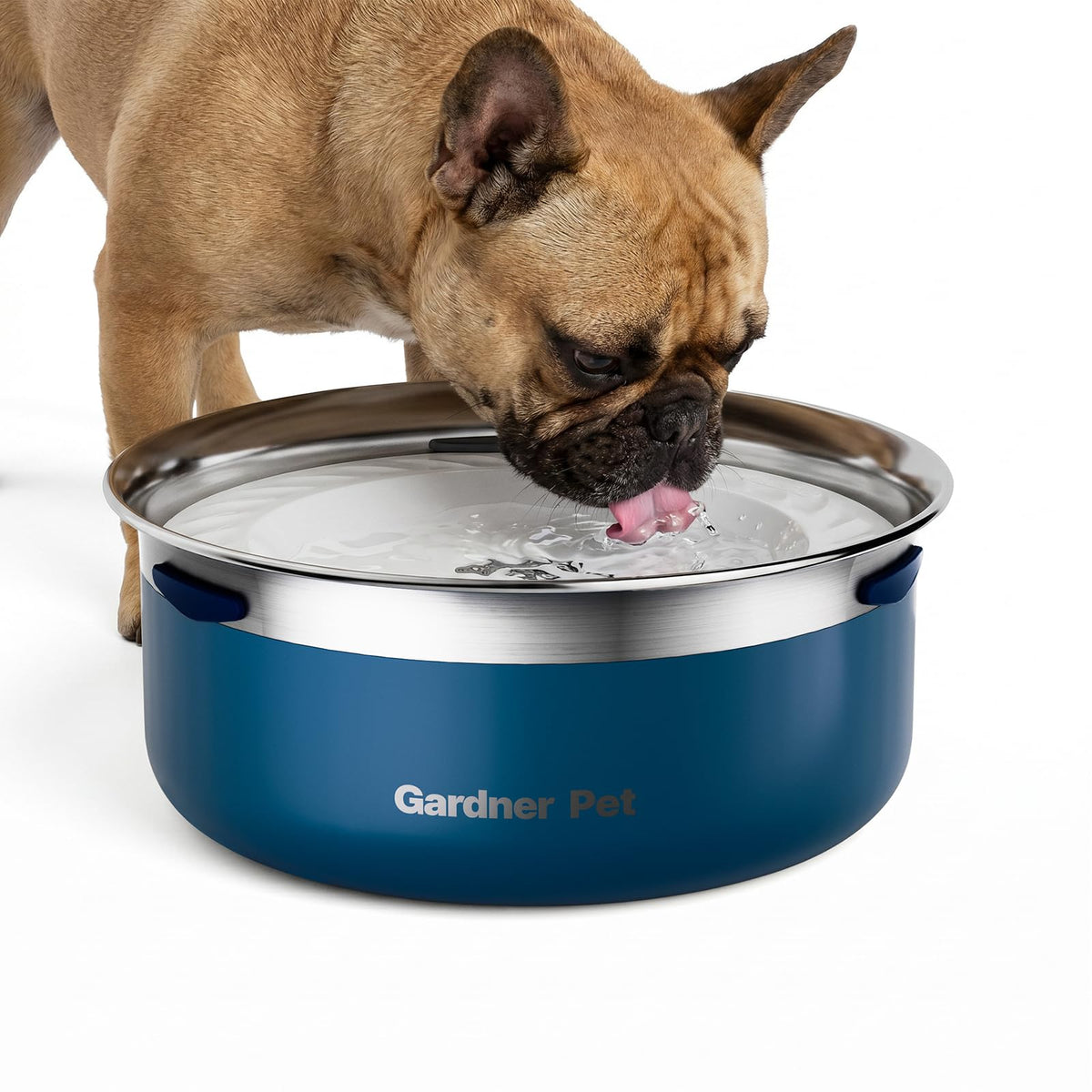 Slow Water Bowl for Dogs (Blue / Small (2L))