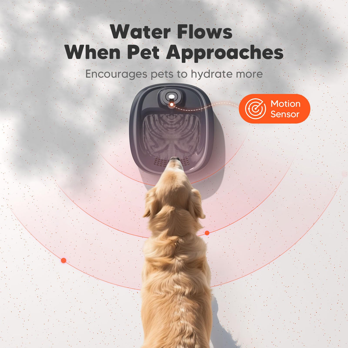 6L 205oz Wireless Dog Water Fountain for Multi