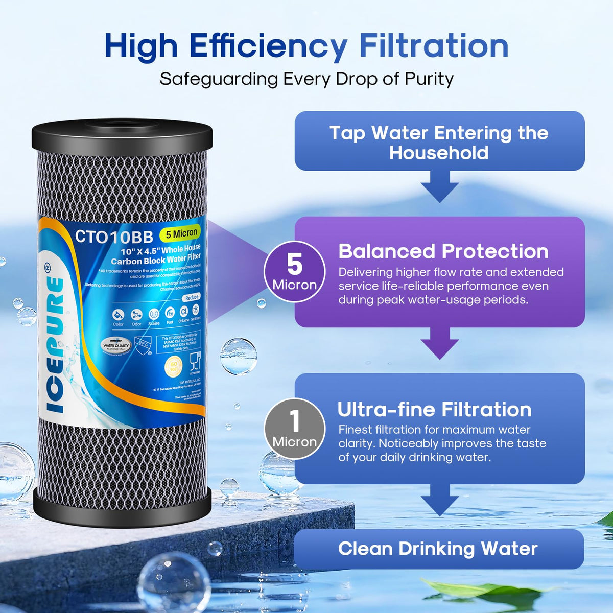 5 Micron 10" x 4.5" Whole House Activated Carbon Water Filter 2Pack (2 Count (Pack of 1))