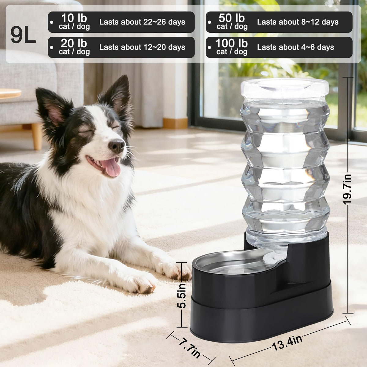 9L Elevated Dog Water Dispenser (Jet Black / 9L)