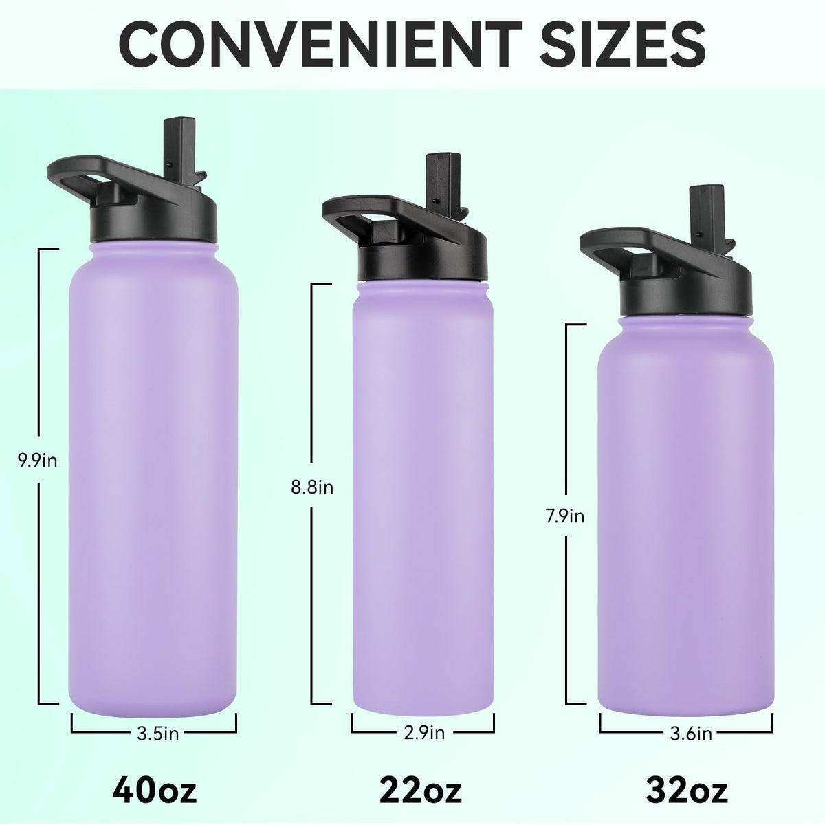 Insulated Water Bottle (Purple / 22oz/8 Pack)