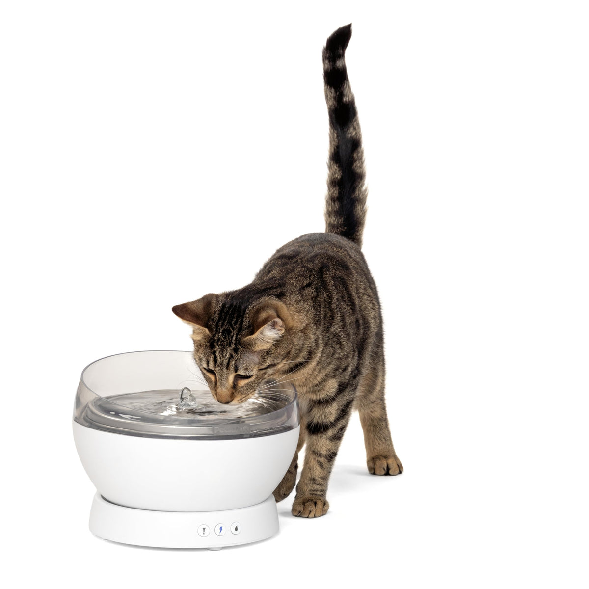 HydroSphere 60 oz Cordless Cat & Dog Fountain (White)