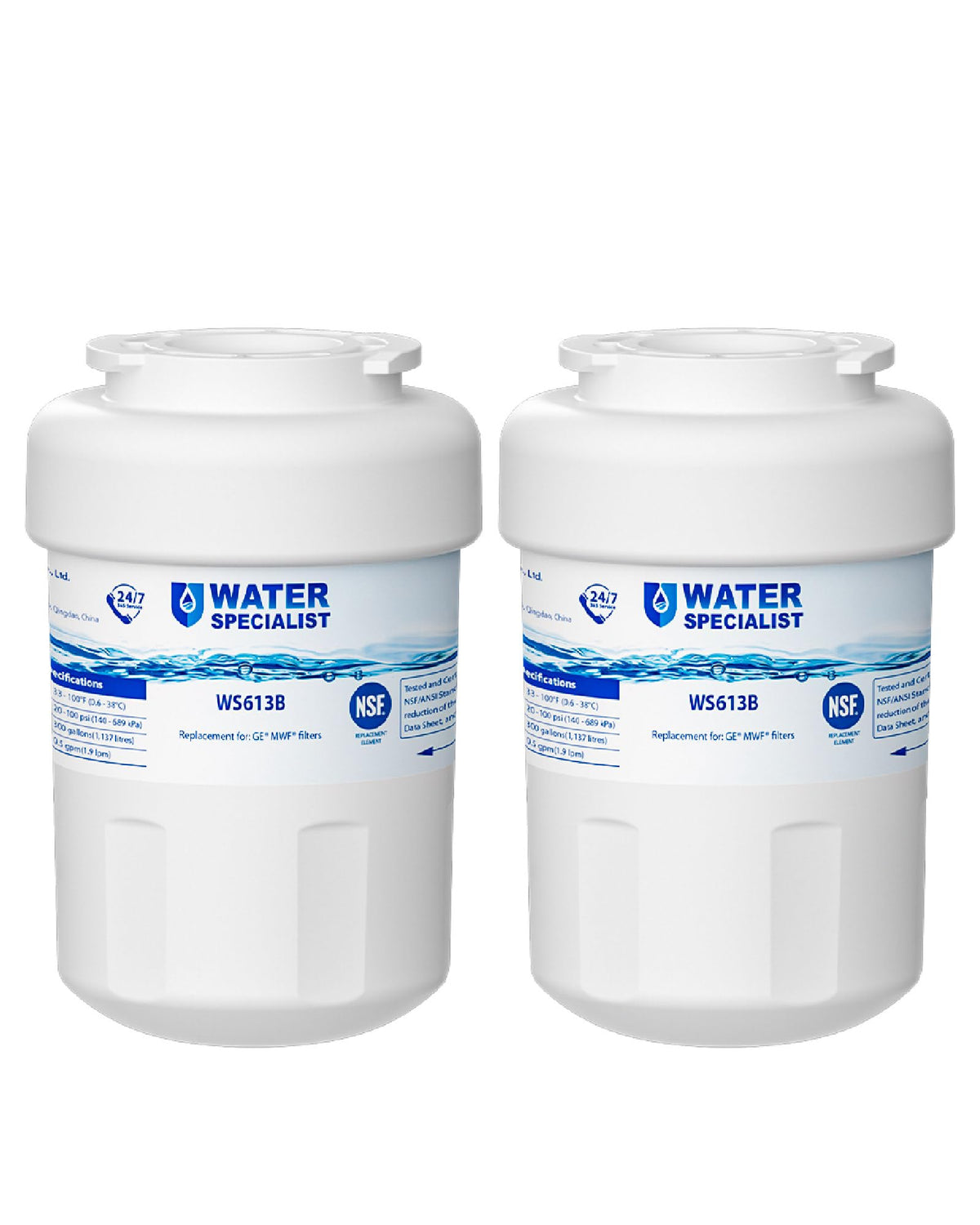 WS613B Water Filter (2 Count (Pack of 1))