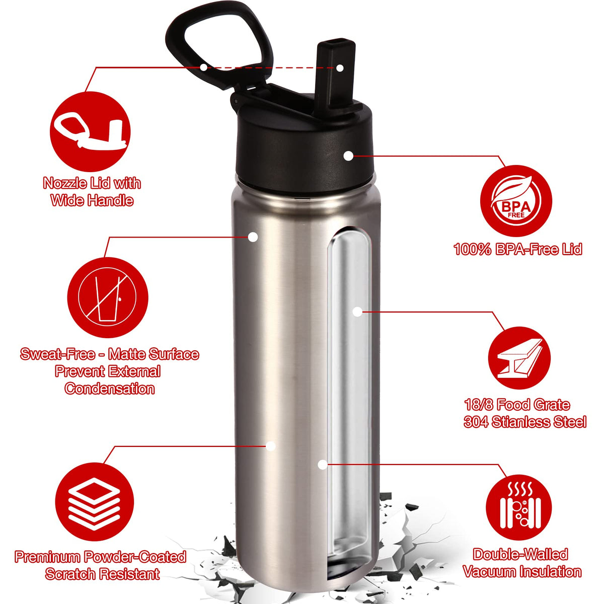 22oz Insulated Water Bottle with Straw Lid (Silver)