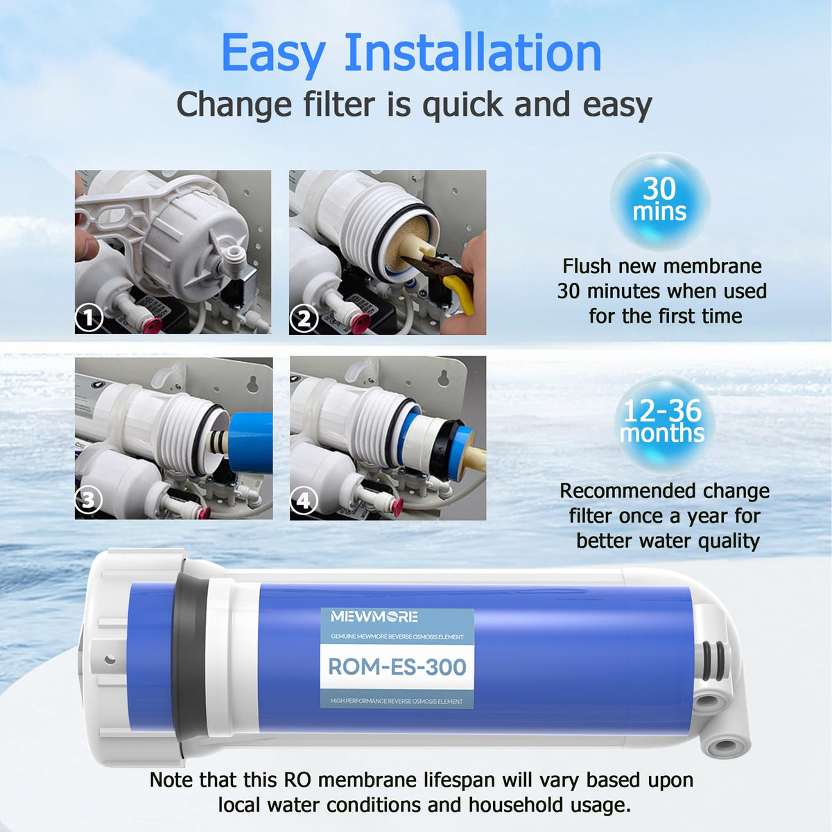 300 GPD RO Membrane Filter with Housing