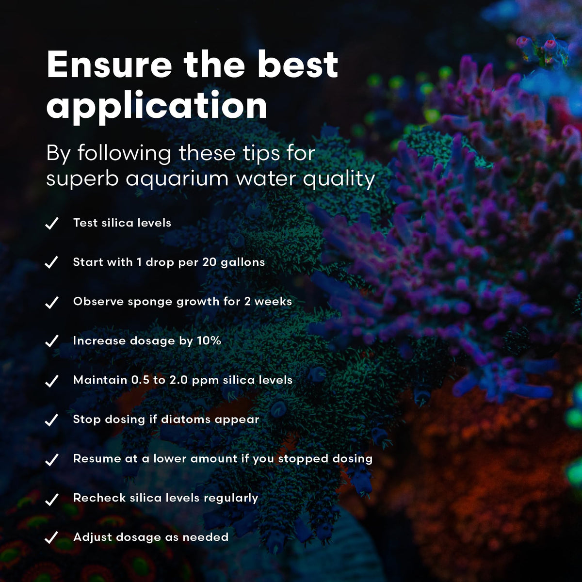 SpongExcel Ionic Silica for Marine Aquariums 2L (2-L)