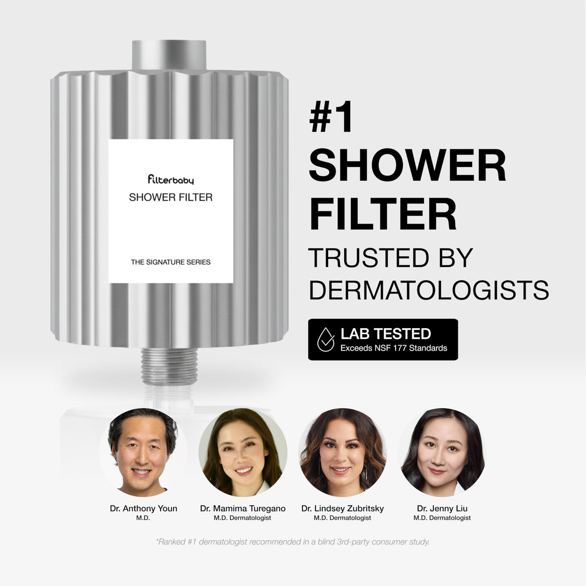 Signature Shower Filter (Chrome)