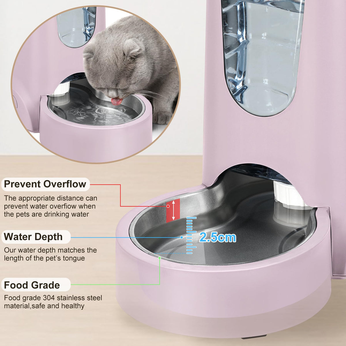 2 Pack Automatic Cat Feeder and Stainless Steel Water Dispenser (1 Gallon x 2 - Violet)