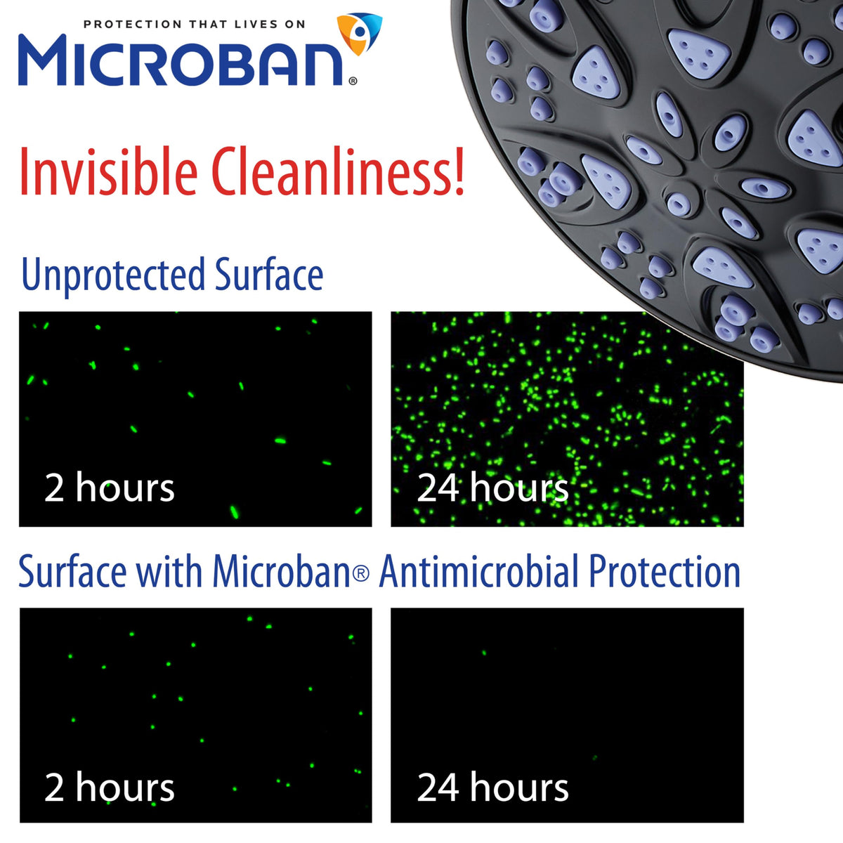 Antimicrobial (2.5 Gallons Per Minute / Matte Black / Sunset Blue Jets)