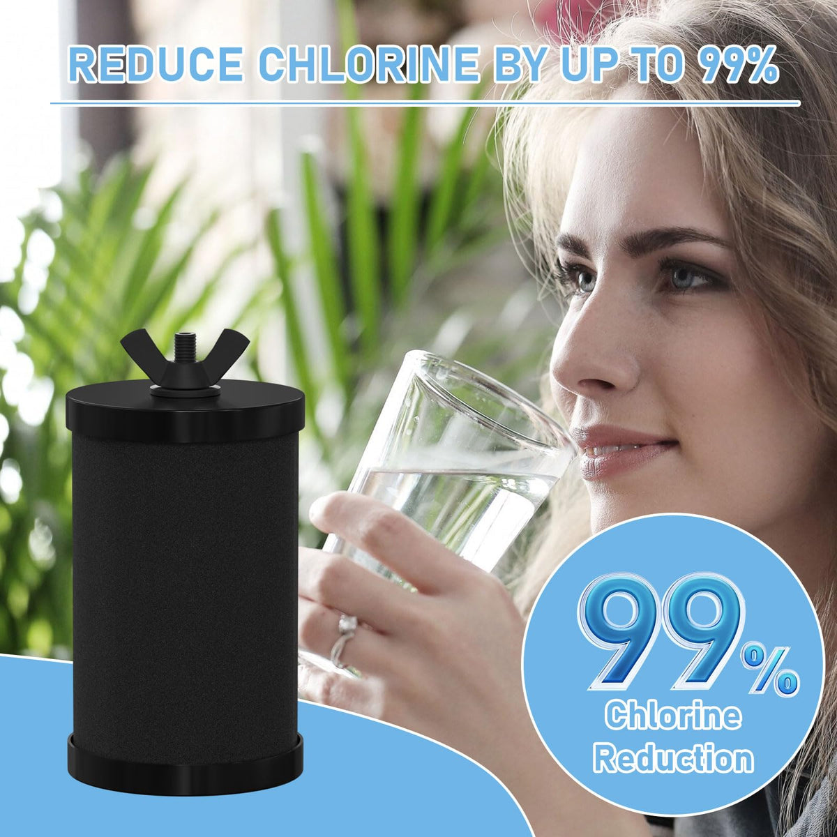 2387 Pro Water Filter Replacement