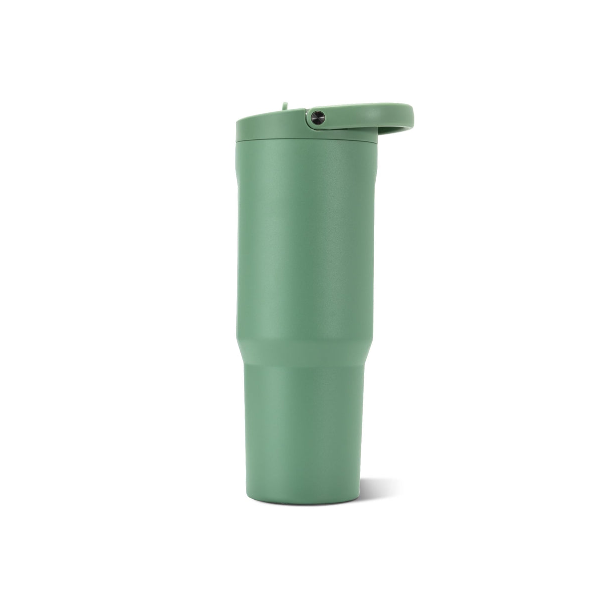 Sport 32 oz Insulated Stainless Steel Water Bottle (Sage / 32 Ounces)