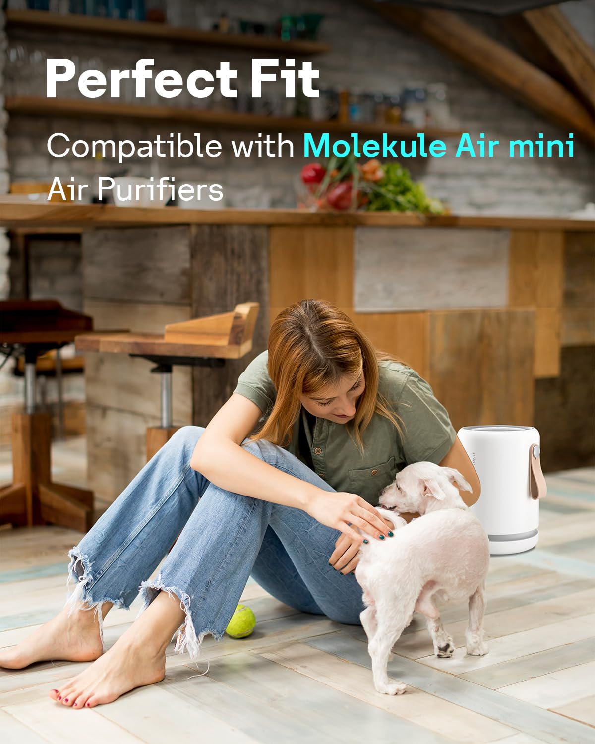 PECO HEPA Replacement Filter for Molekule Air Mini (air mini 4-pack)