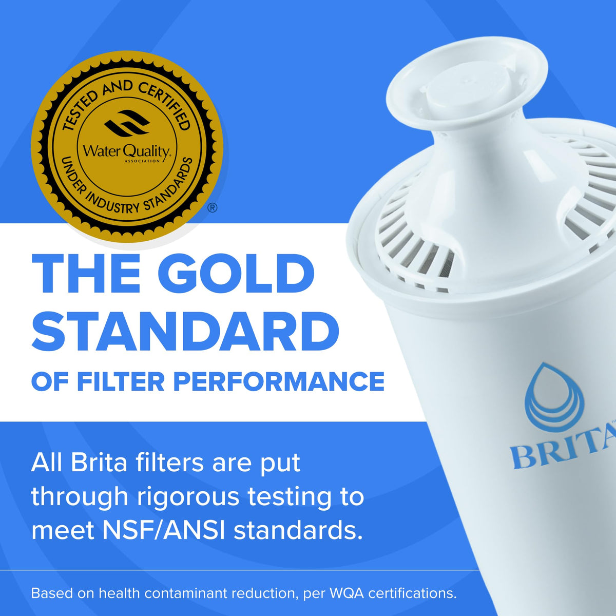 Plus Replacement Water Filter (Plus / 3)