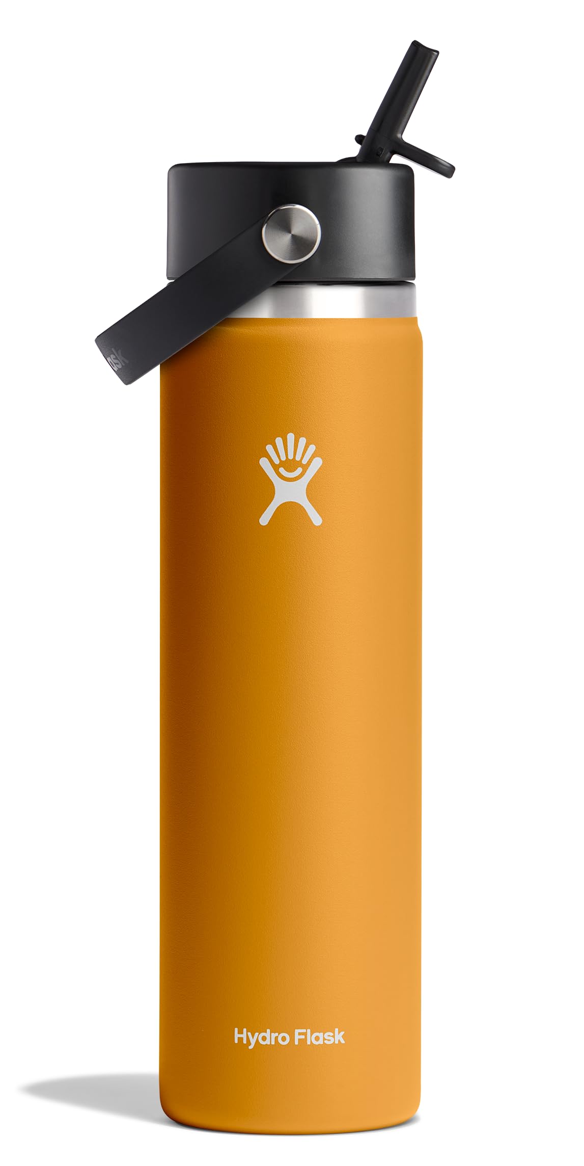 Water Bottle Insulated Stainless Steel (24 Oz / Fossil)