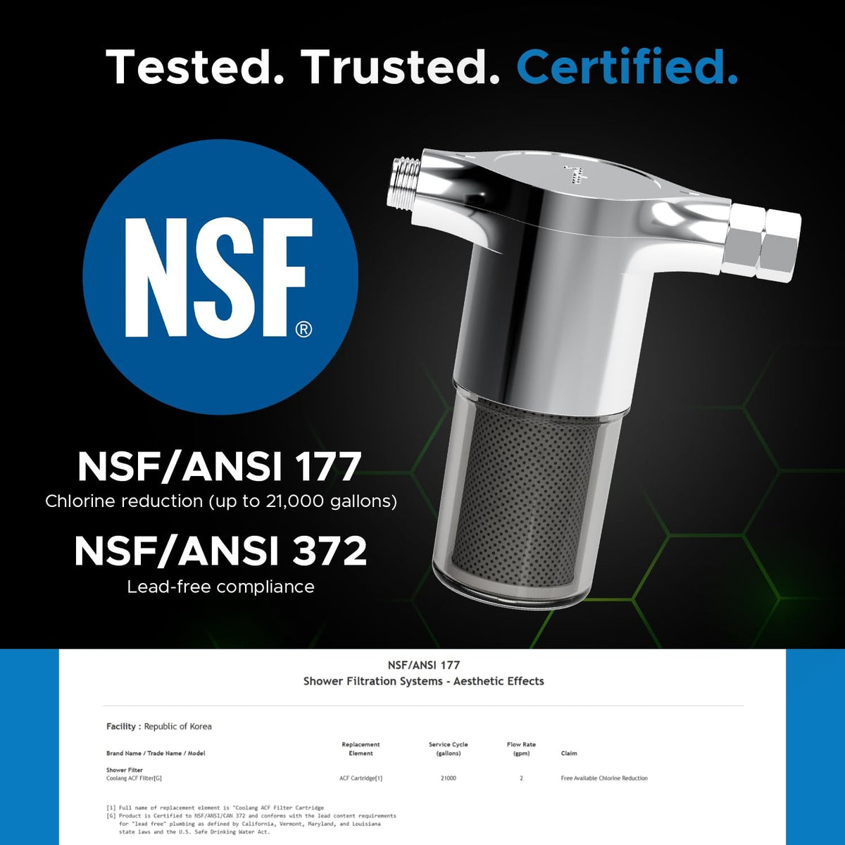 ACF Shower Filter